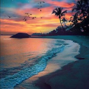 Meet your Posher, Sherry